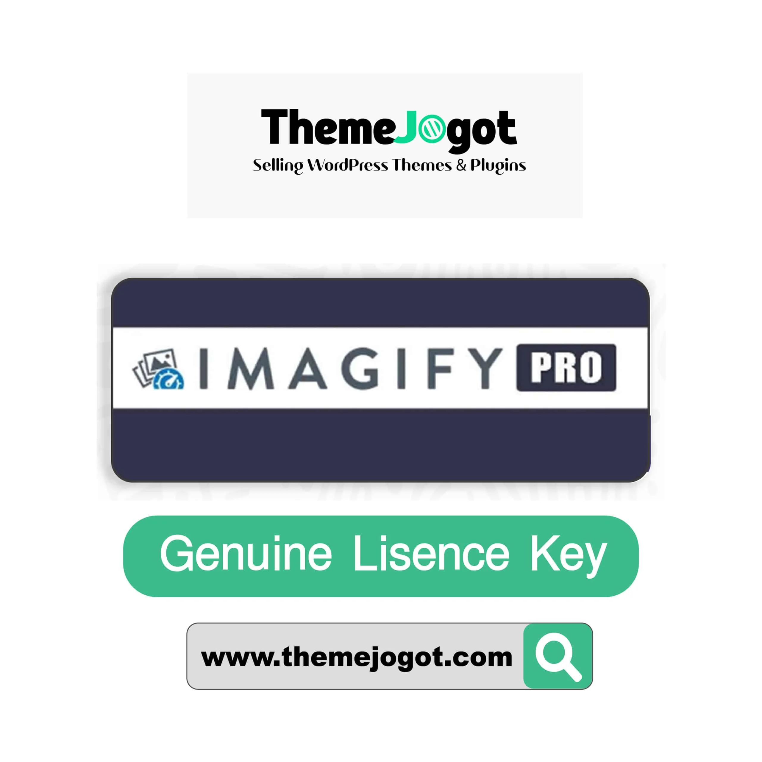Imagify Pro license activation with WordPress image optimization features